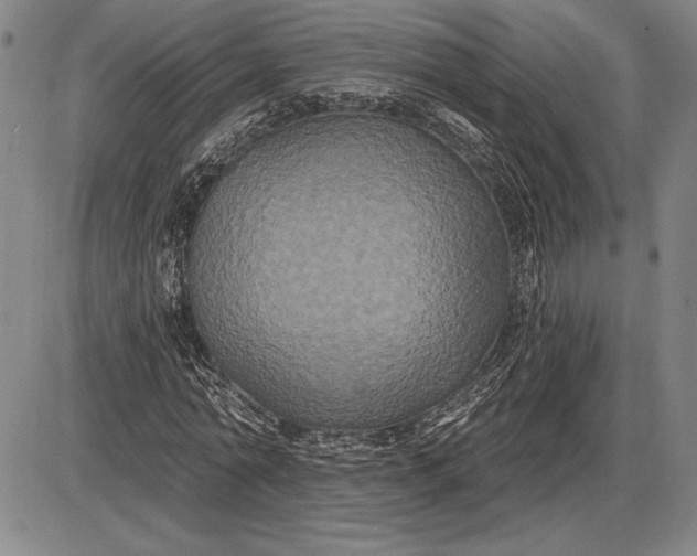 X0000085820774200703301552