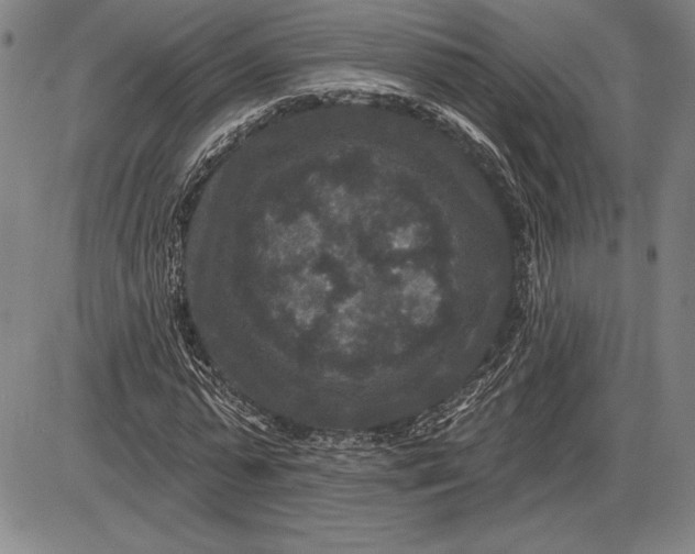 X0000085820775200703301552