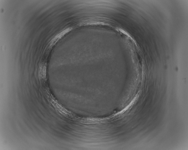 X0000085820777200703301552