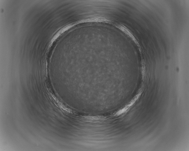 X0000085820781200703301552