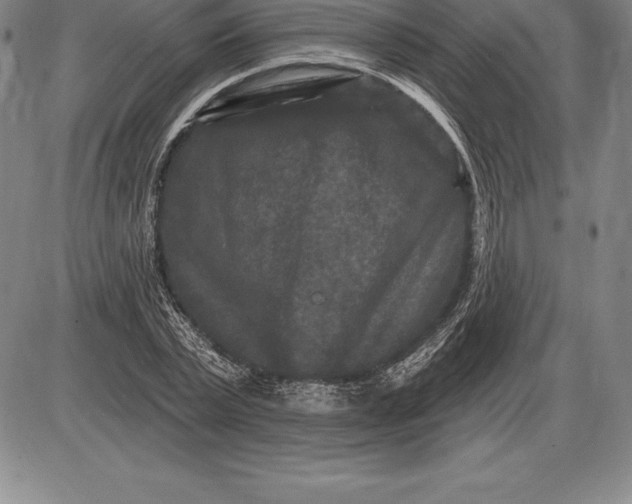 X0000085820783200703301552