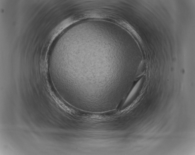 X0000085820787200703301552