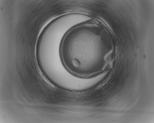 X0000085820788200703301552