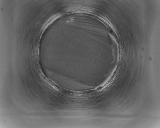 X0000085820790200703301552