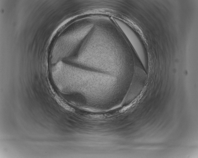 X0000085820792200703301552