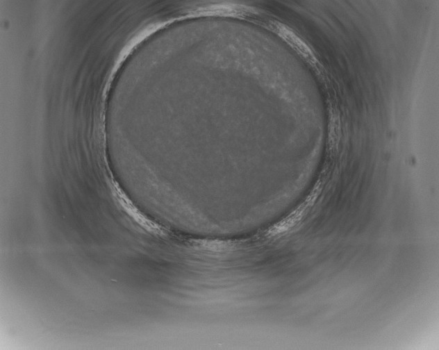 X0000085820800200703301552