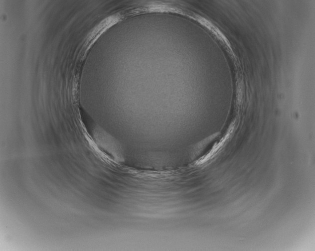 X0000085820801200703301552