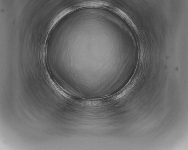 X0000085820802200703301552
