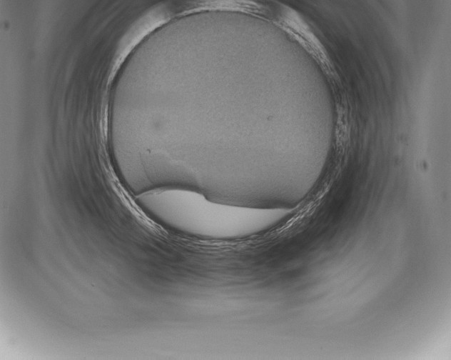 X0000085820804200703301552