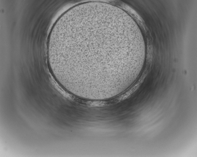 X0000085820808200703301552