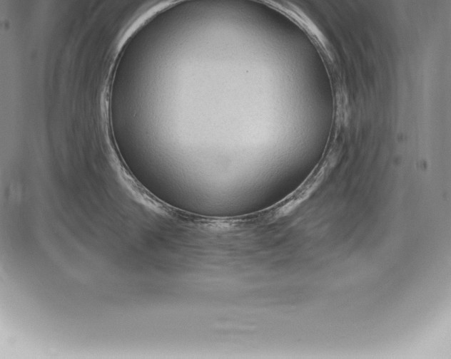 X0000085820814200703301552