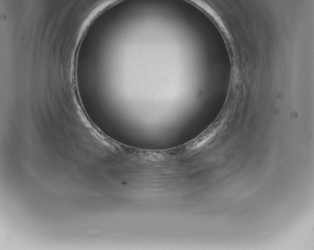 X0000085820815200703301552