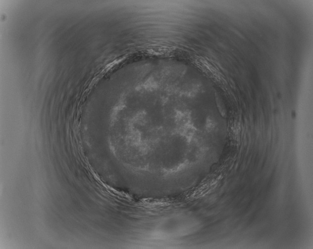 X0000085820817200703301551