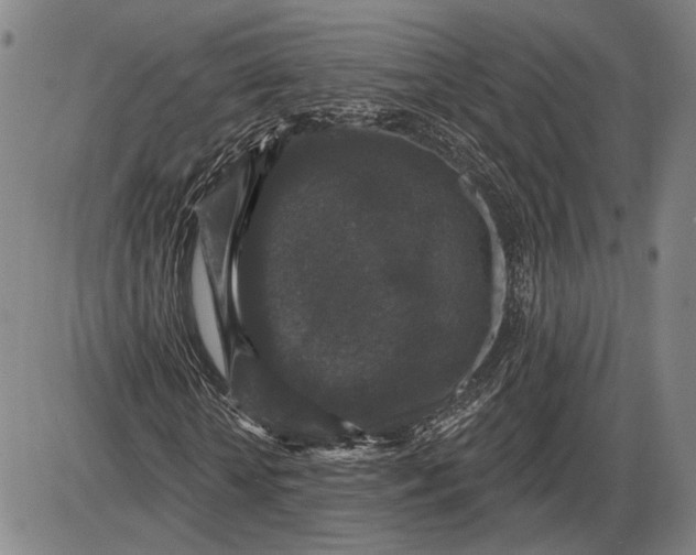 X0000085820818200703301551