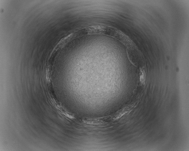 X0000085820819200703301551