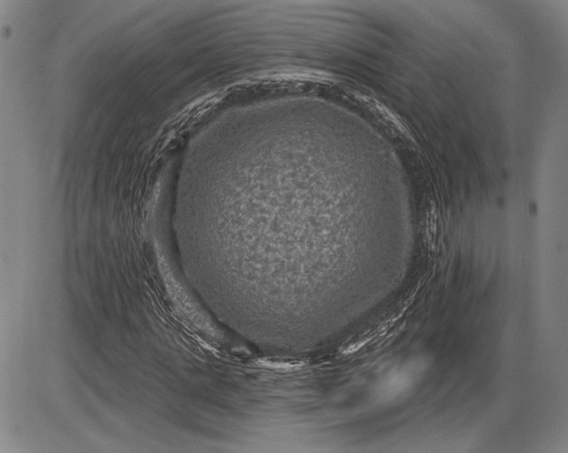 X0000085820821200703301551