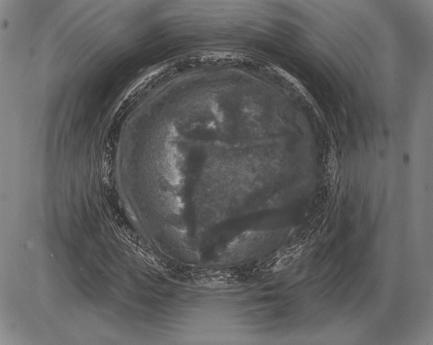 X0000085820823200703301551