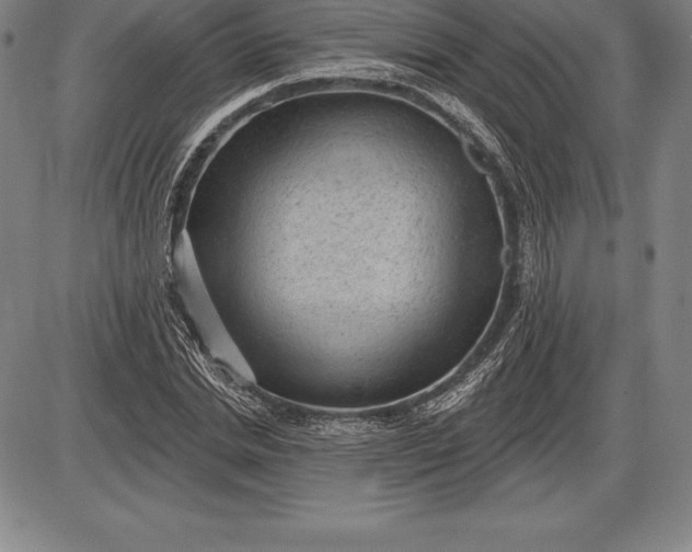 X0000085820830200703301551