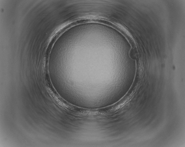 X0000085820831200703301551