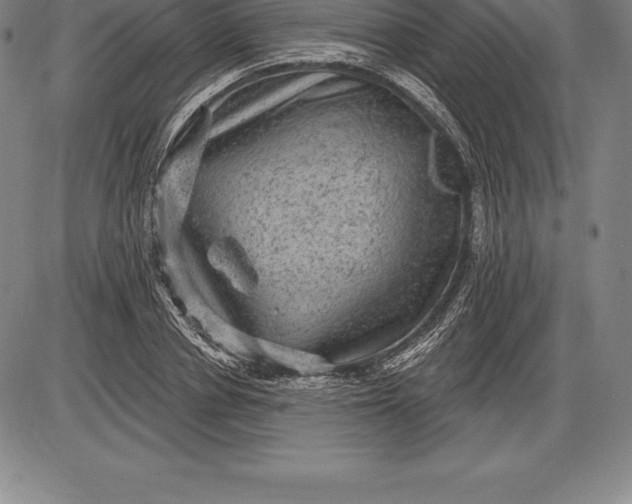 X0000085820834200703301551
