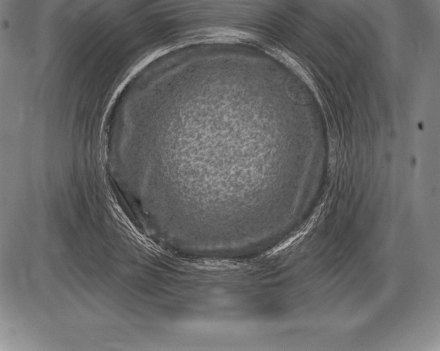 X0000085820835200703301551