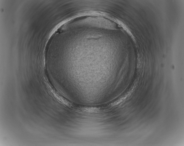 X0000085820837200703301551