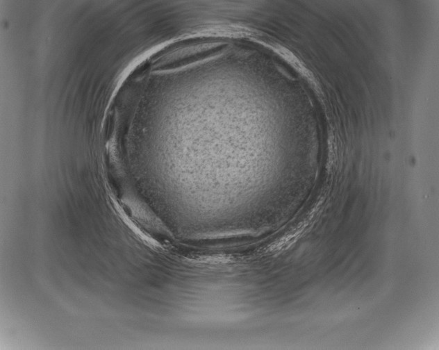X0000085820838200703301551