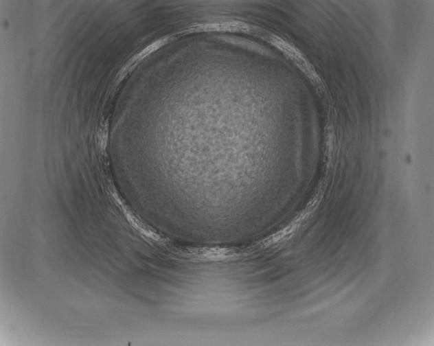 X0000085820841200703301551