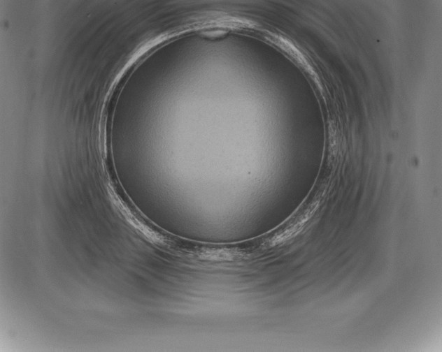 X0000085820843200703301551