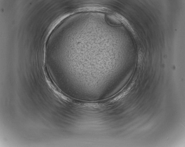 X0000085820844200703301551