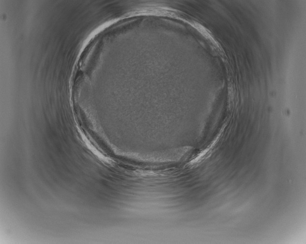X0000085820846200703301551