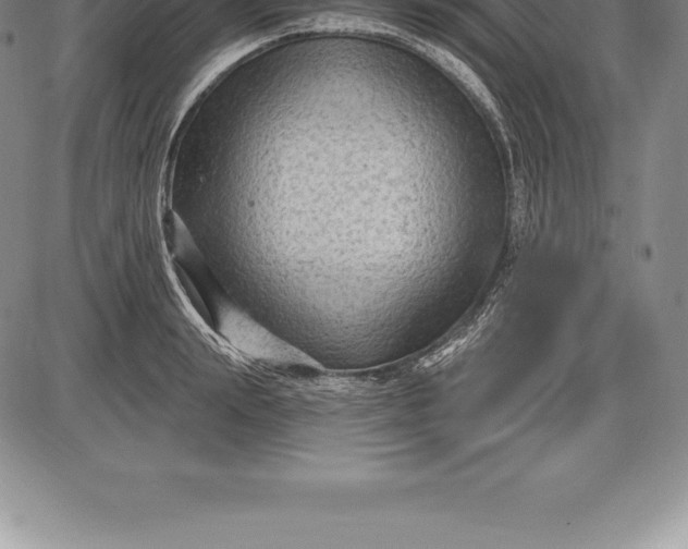 X0000085820847200703301551
