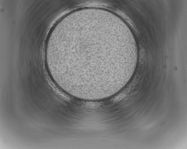 X0000085820848200703301551
