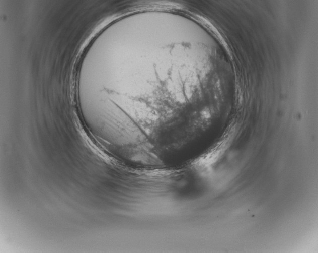 X0000085820851200703301551