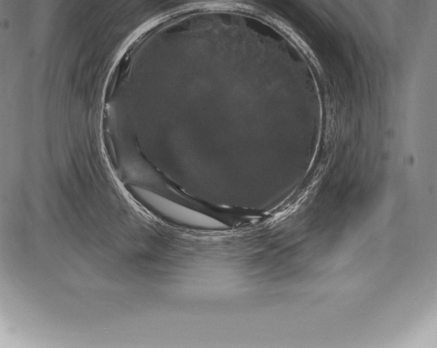 X0000085820853200703301551