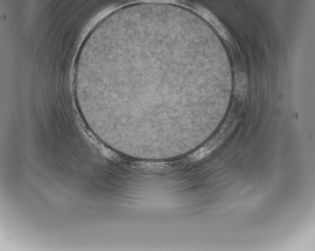 X0000085820856200703301551