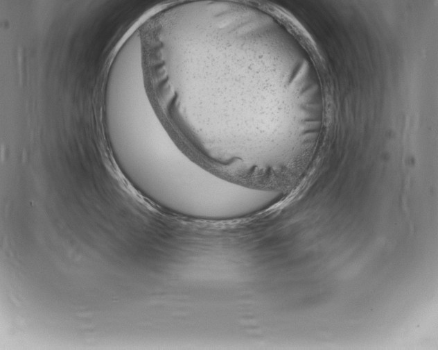 X0000085820860200703301552