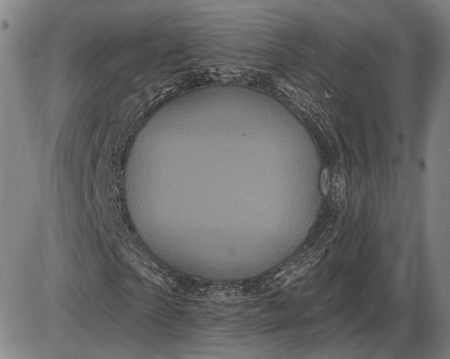X0000085820865200703301551