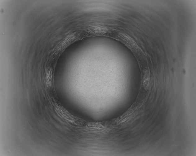 X0000085820866200703301551