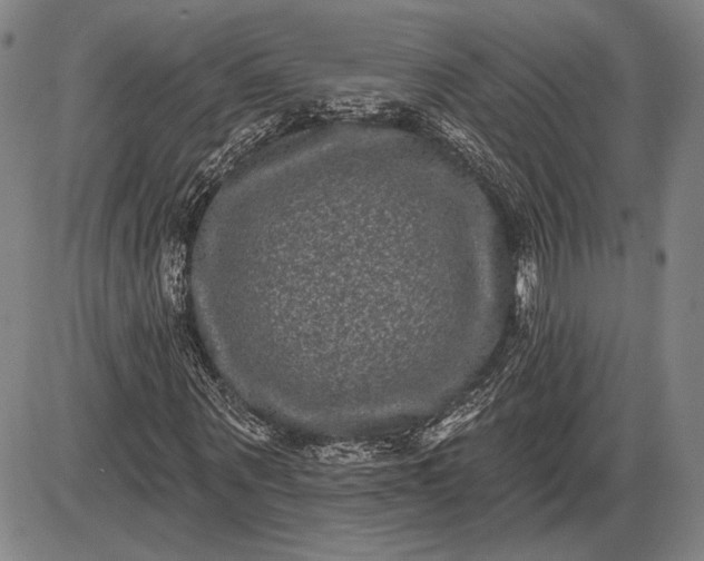 X0000085820867200703301551