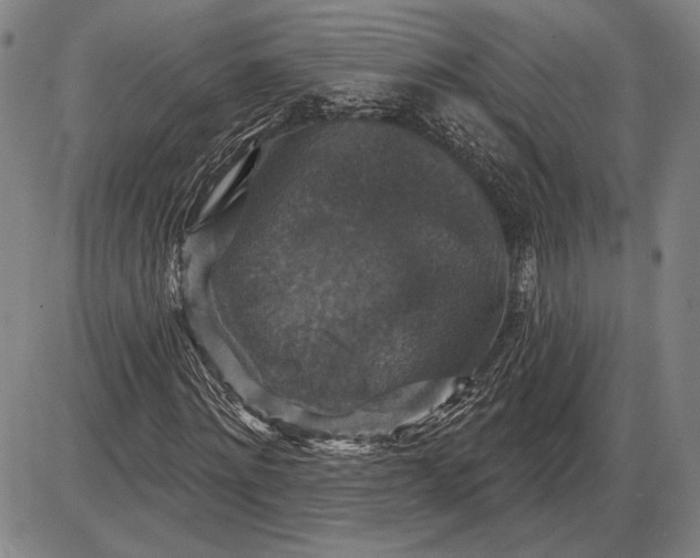 X0000085820868200703301551