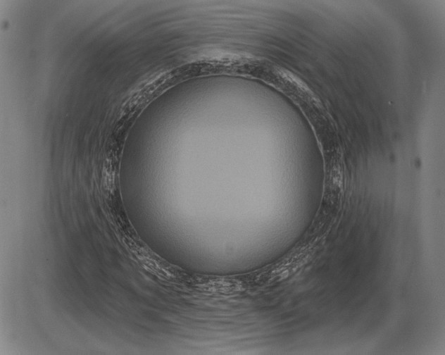 X0000085820869200703301551