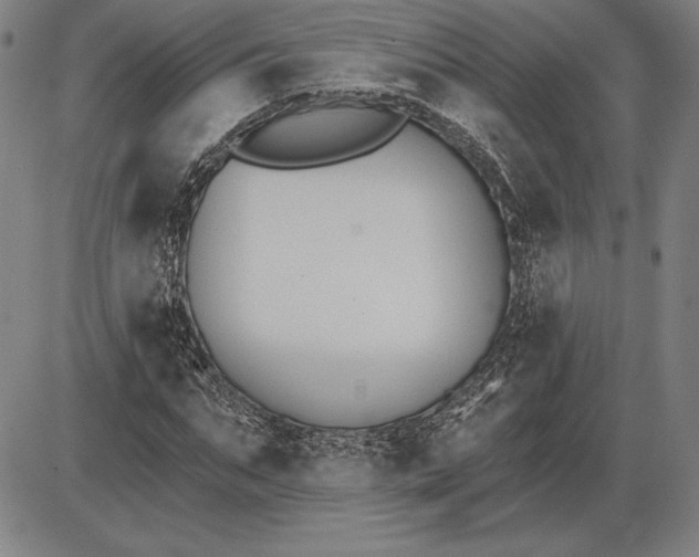 X0000085820871200703301551