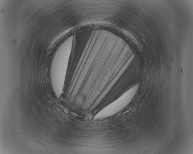X0000085820872200703301551