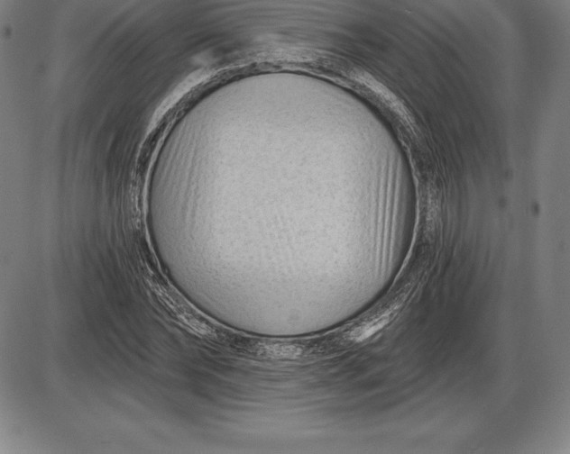 X0000085820878200703301551