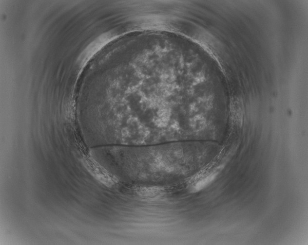 X0000085820879200703301551