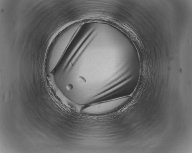X0000085820880200703301551