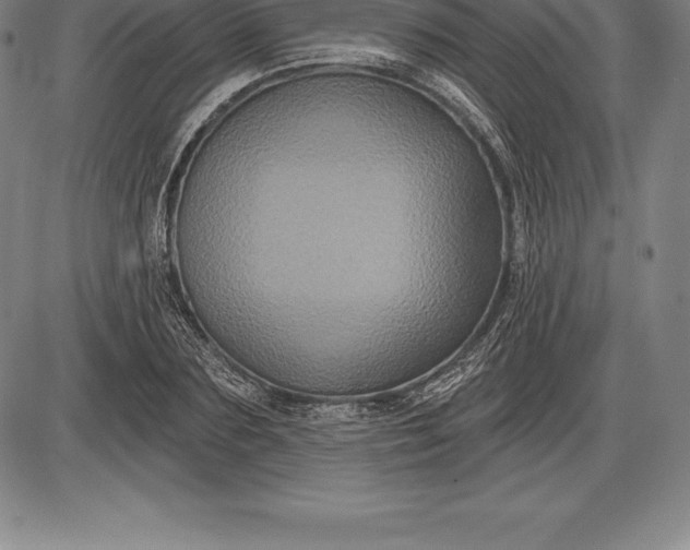 X0000085820883200703301551