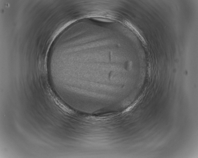 X0000085820884200703301550