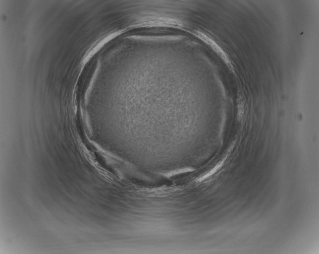 X0000085820885200703301550